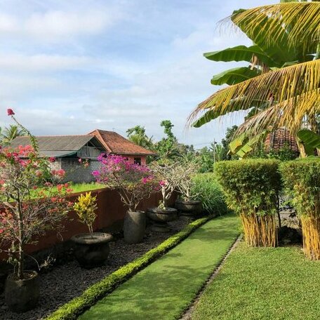 Medewi Bambu House - Photo4