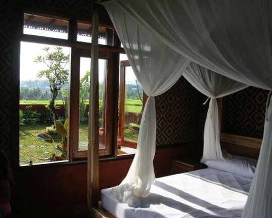 Medewi Bambu House - Photo5