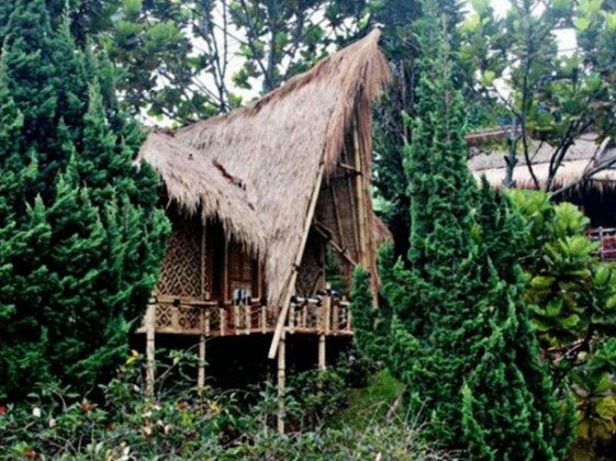 Bamboo Village by Villa - Photo2