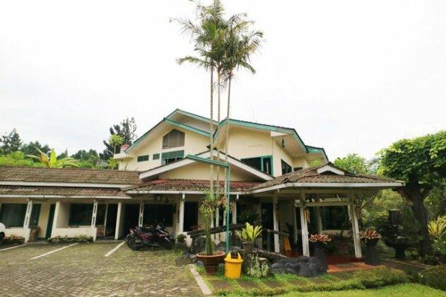 Photo 4
