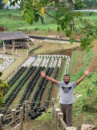 Villa Eco Resort - Photo5