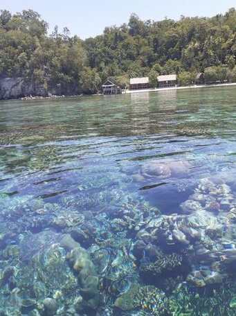 Best Rajaampat Homestay - Photo5