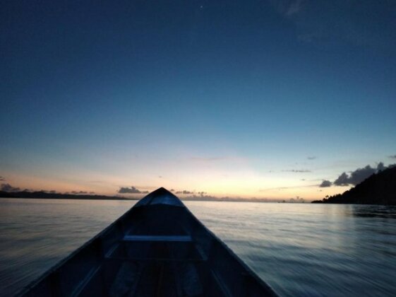 Blue shark Homestay Arborek Raja Ampat - Photo5