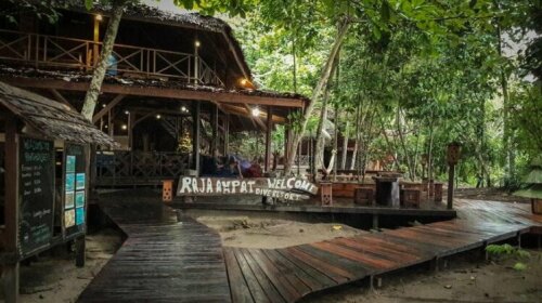 Raja Ampat Dive Resort