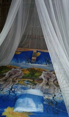 Raja Ampat Sunrise Homestay