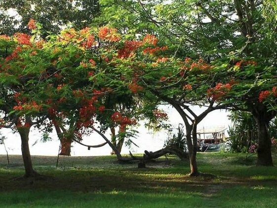 Matahari Villas - Photo5