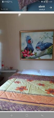 Budget Backpacker - Mango House - Photo2