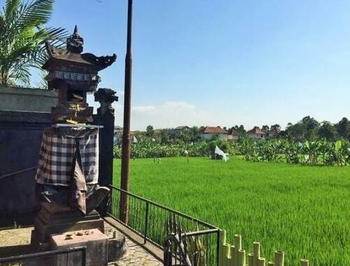 Bali Green Hostel - Photo3