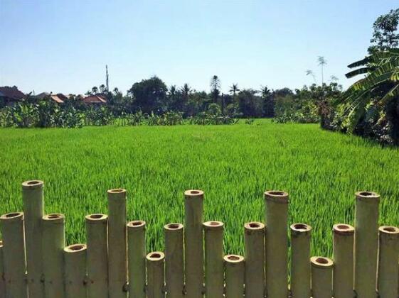Bali Green Hostel - Photo4