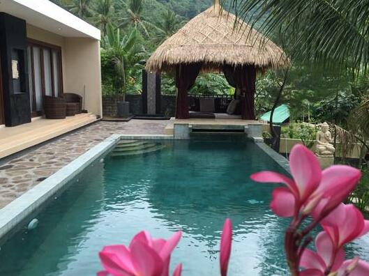 Beautiful 2 bedroom infinity pool villa - Photo4
