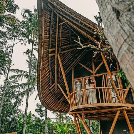 Hide Tumbuk Bamboo by Atharva Bali - Photo2