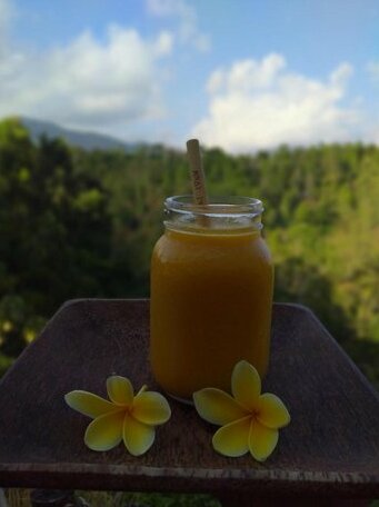 WaVi Eco Hut - Photo3
