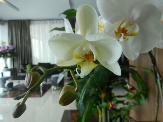 Grand Amira Hotel - Photo3