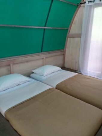Hejoforest - Photo3