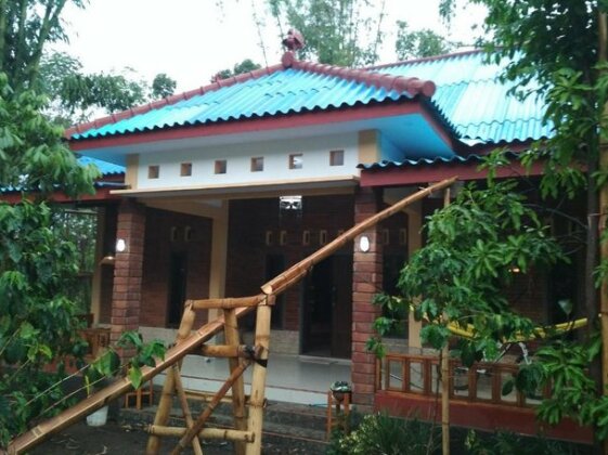 KOPI-KUIN bromo - Photo2