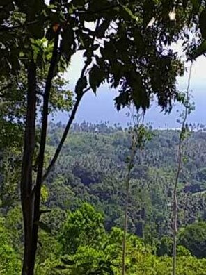 Bogani-Homestay - Photo2