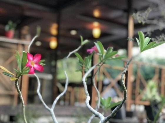 Daniel's Lagoon Dive Resort - Photo5