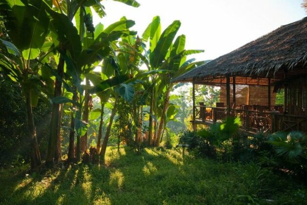 Living Colours Diving Resort - Photo2