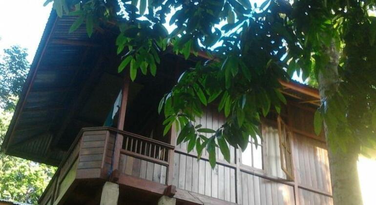 Mamaling Resort Bunaken - Photo2