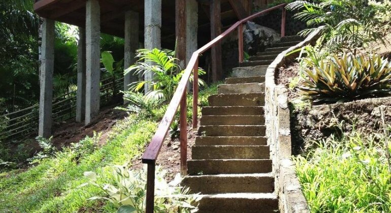 Mamaling Resort Bunaken - Photo5