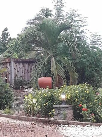Marind Dive Eco Resort - Photo3