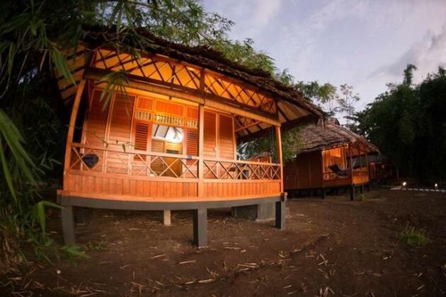 Raja Laut Coral View - Photo2