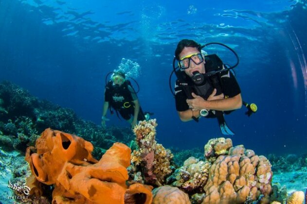 Sifa Diving Resort - Photo2