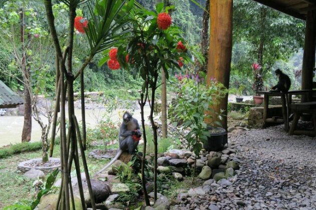 Back to Nature Ecotourism - Photo2