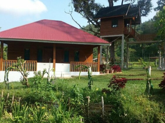 Cifa Garden House