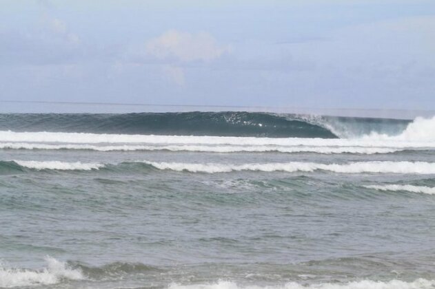 Cocochill Surf House - Photo2