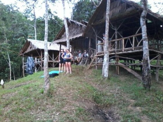 Jungle House Sumatra - Photo3