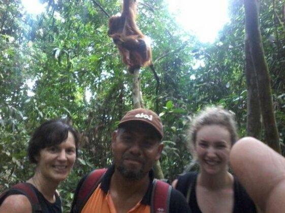 Jungle House Sumatra - Photo4
