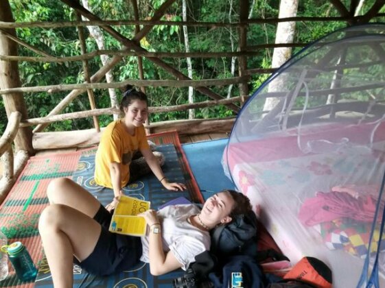 Lovely Jungle Lodge - Photo4