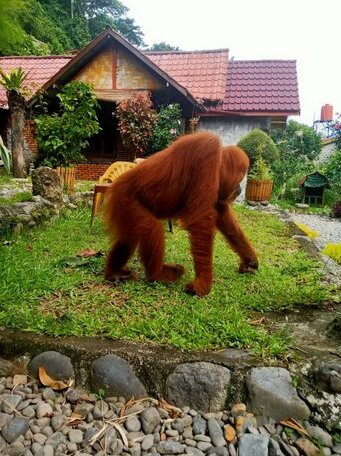 Lucky Bamboo Guest House - Photo3