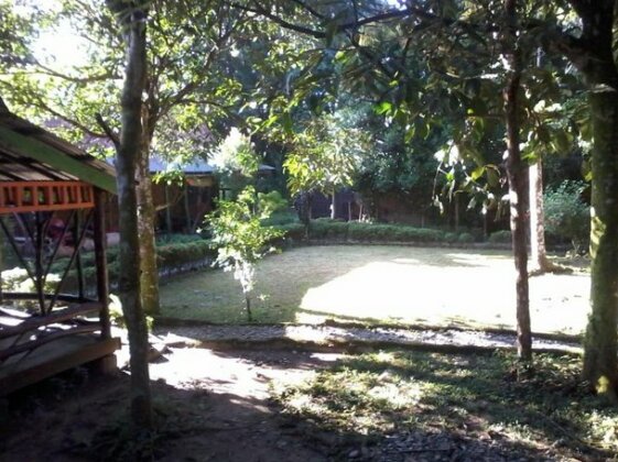 Mega inn Sumatra - Photo3