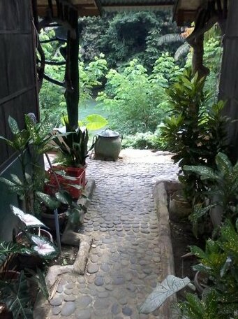 Mega inn Sumatra - Photo5
