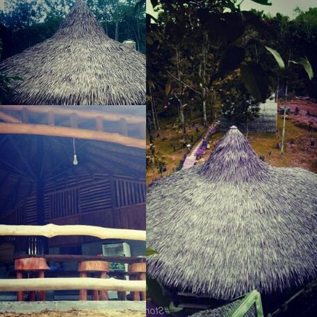Orang Utan Bungalow - Photo3