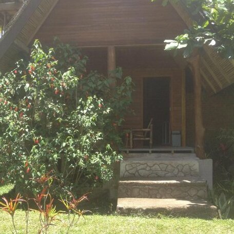 Orau Inn Homestay - Photo4