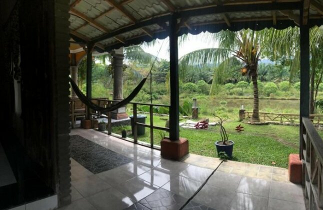 Sumatra Cheeky Monkeys - Photo2