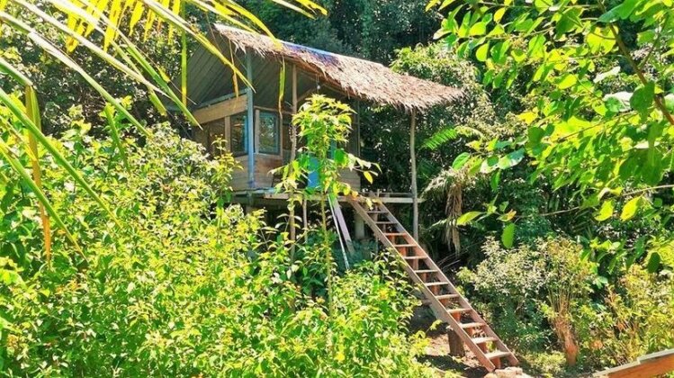 Sumatra Ecolodge Sumatra - Photo2