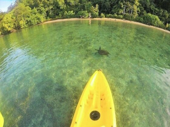 Sumatra Ecolodge Sumatra - Photo5