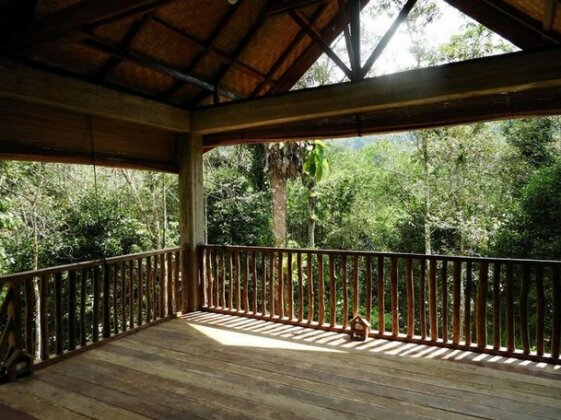 Sumatra Rainforest Eco Retreat - Photo3