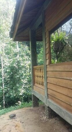Sumatra Rainforest Eco Retreat - Photo4
