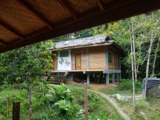 Sumatra Rainforest Eco Retreat - Photo5