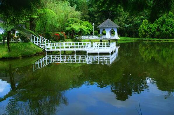 The Hill Hotel & Resort Sibolangit - Photo3