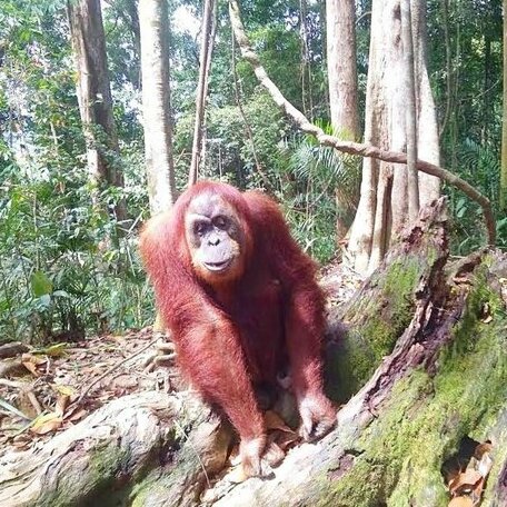 Tiga Dara - Photo4