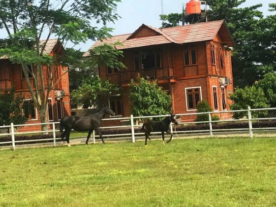 APM Equestrian Creative Resort - Photo2