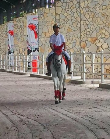 APM Equestrian Creative Resort - Photo3