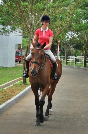 APM Equestrian Creative Resort - Photo4