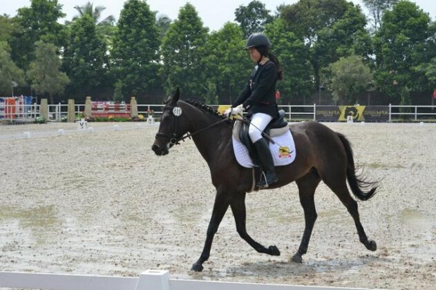 APM Equestrian Creative Resort - Photo5